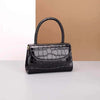 Luxury leather handbag for women with stylish hard handle.